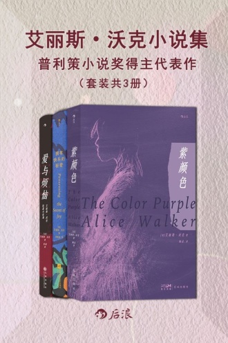 艾丽斯·沃克小说集：普利策小说奖得主代表作（套装共3册）