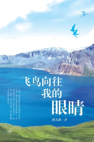 飞鸟向往我的眼睛