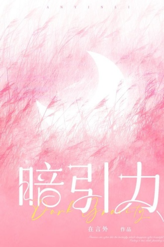 暗引力（岳雨婷、卡戎主演电视剧《婚后引力》原著小说）