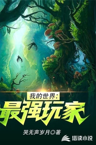 我的世界：最强玩家