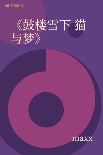 《鼓楼雪下 猫与梦》
