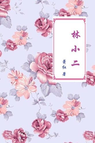 林小二