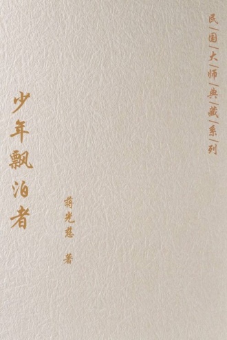 少年飘泊者
