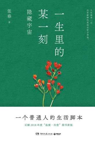 一生里的某一刻：隐藏宇宙