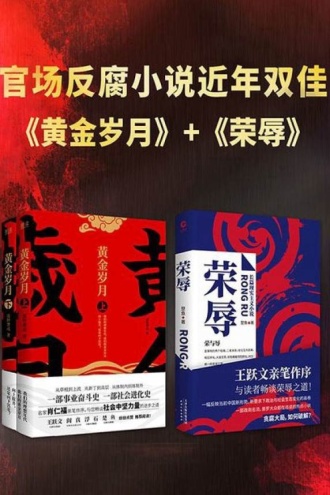 官场反腐小说近年双佳：《荣辱》+《黄金岁月》（套装共2册）