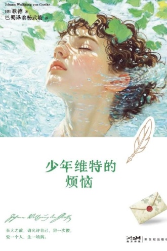 少年维特的烦恼