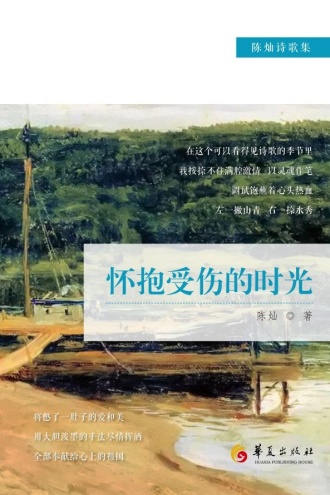 怀抱受伤的时光