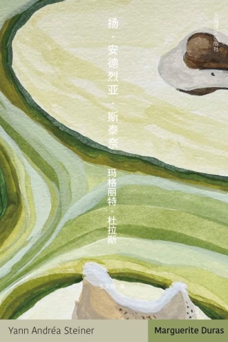 扬·安德烈亚·斯泰奈