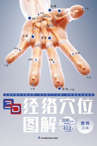 3D经络穴位图解