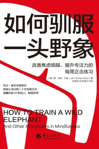 如何驯服一头野象