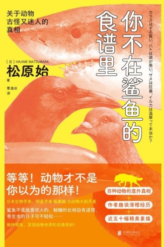 你不在鲨鱼的食谱里