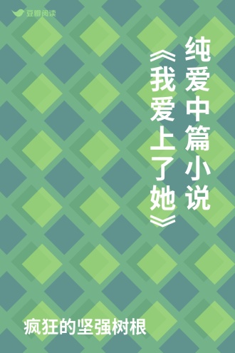 纯爱中篇小说《我爱上了她》
