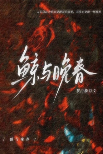 鲸与晚春