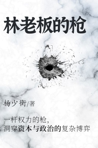 林老板的枪