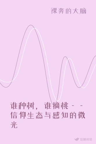 谁种树,谁摘桃——信仰生态与感知的微光