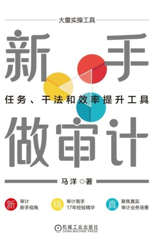 新手做审计