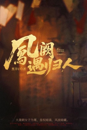 凤阙遇归人