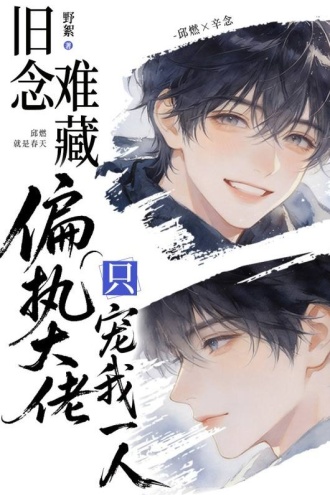 旧念难藏：偏执大佬只宠我一人