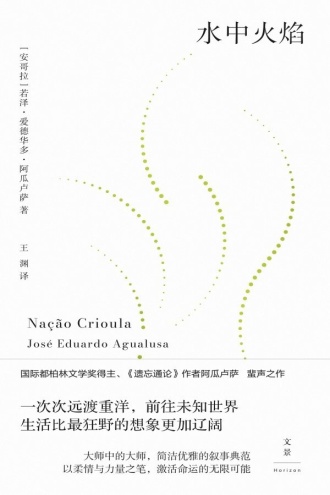 水中火焰
