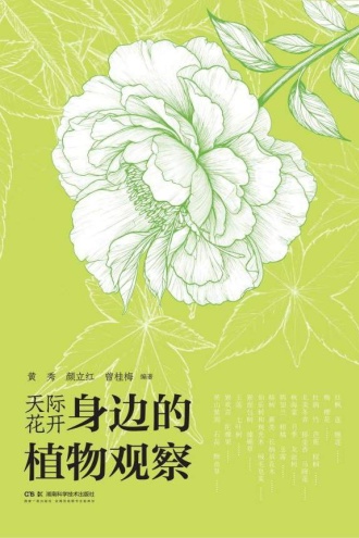 天际花开：身边的植物观察