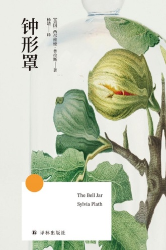 钟形罩