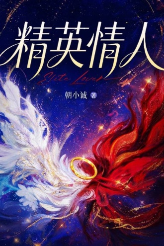 精英情人