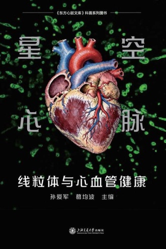 星空心脉：线粒体与心血管健康