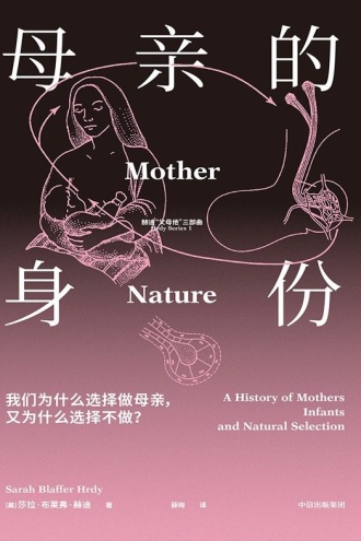 母亲的身份