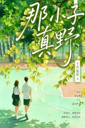 那小子真野