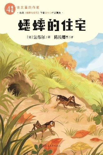 蟋蟀的住宅