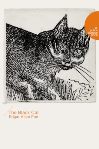 The Black Cat（黑猫）