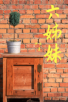 《六姊妹》售出影视改编权